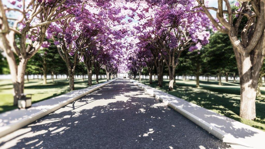 Avrupa Tarım Ceviz İşleme Tesisi ve Ofis Binası İnşaatı