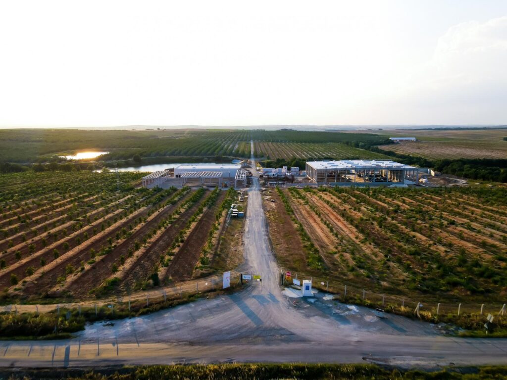 Avrupa Tarım Ceviz İşleme Tesisi ve Ofis Binası İnşaatı