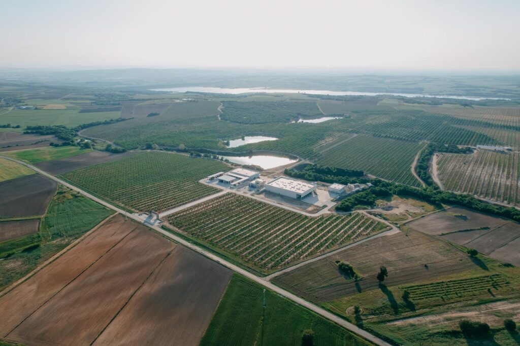 Avrupa Tarım Ceviz İşleme Tesisi ve Ofis Binası İnşaatı