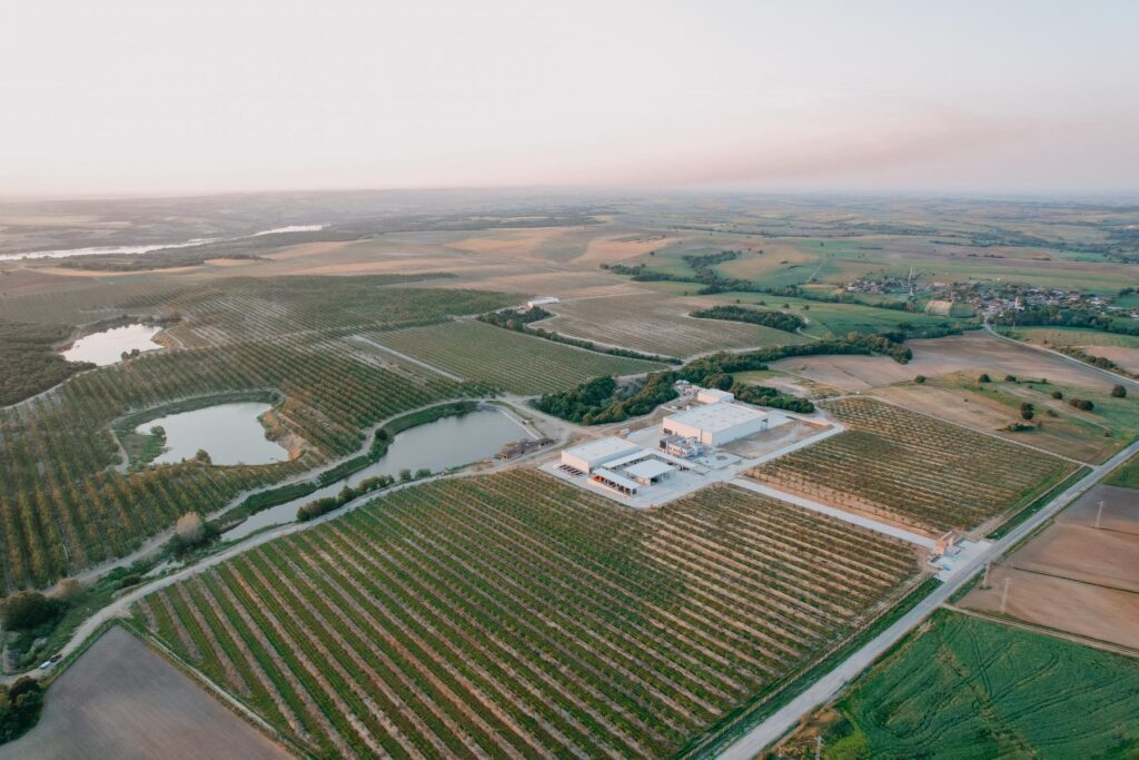 Avrupa Tarım Ceviz İşleme Tesisi ve Ofis Binası İnşaatı